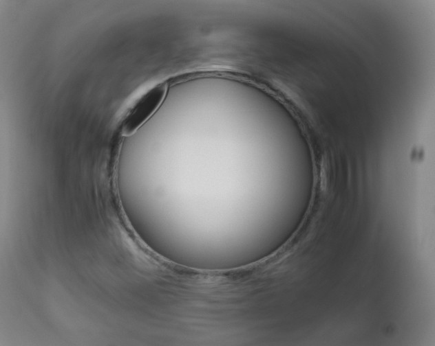 X0000112771452200908201339