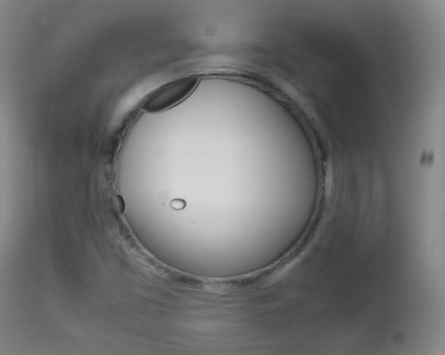 X0000112771453200908201339