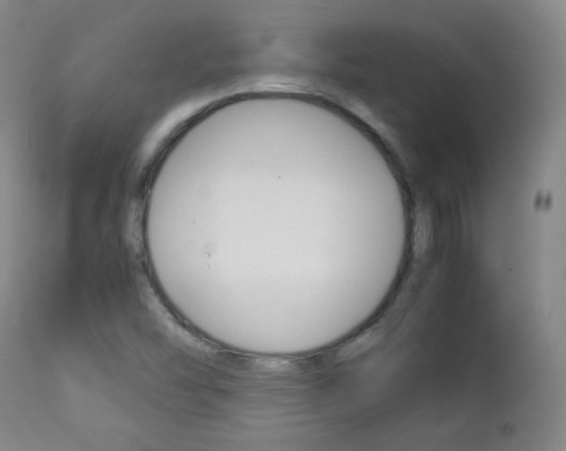 X0000112771454200908201339