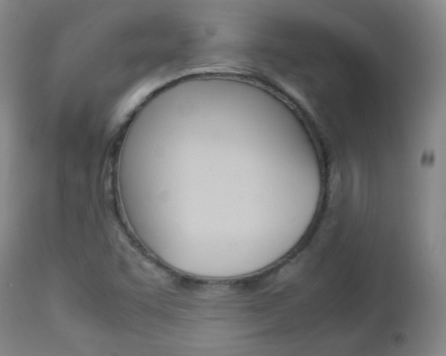 X0000112771455200908201339