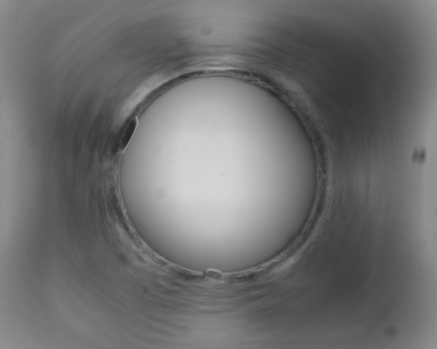 X0000112771457200908201339