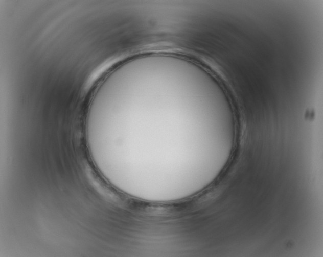 X0000112771458200908201339
