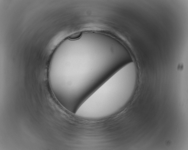 X0000112771459200908201339