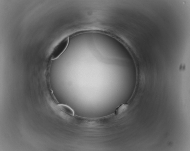 X0000112771460200908201339