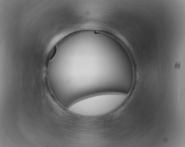 X0000112771461200908201339