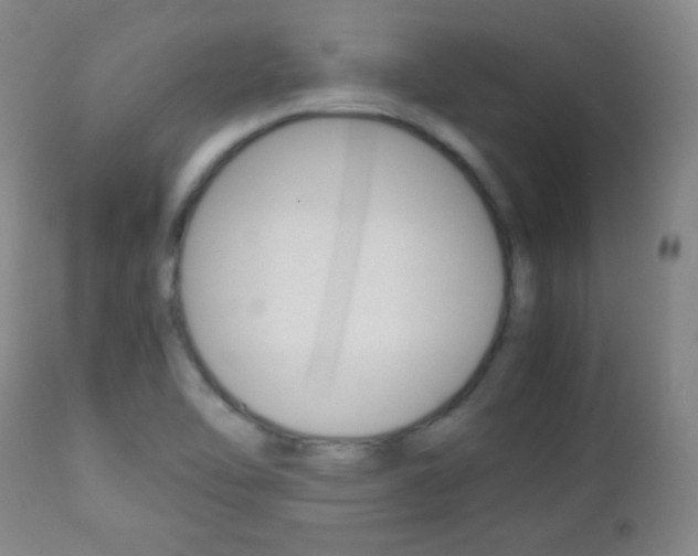 X0000112771462200908201339