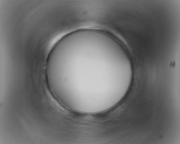 X0000112771463200908201339