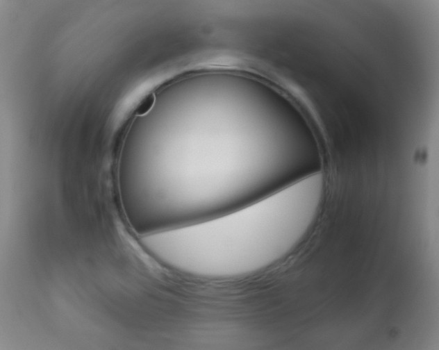 X0000112771464200908201339