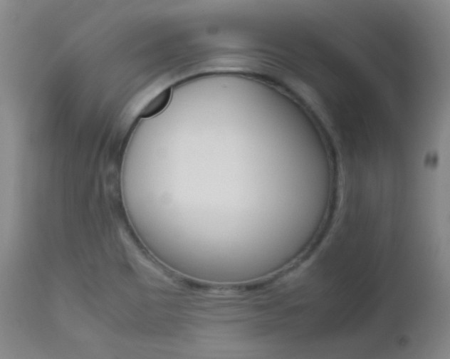 X0000112771465200908201339