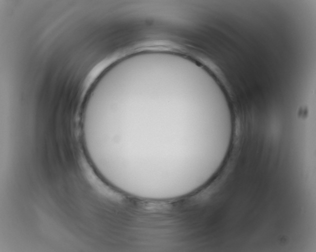 X0000112771466200908201339