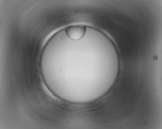 X0000112771468200908201339