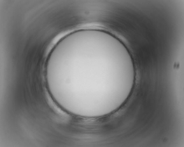 X0000112771470200908201339