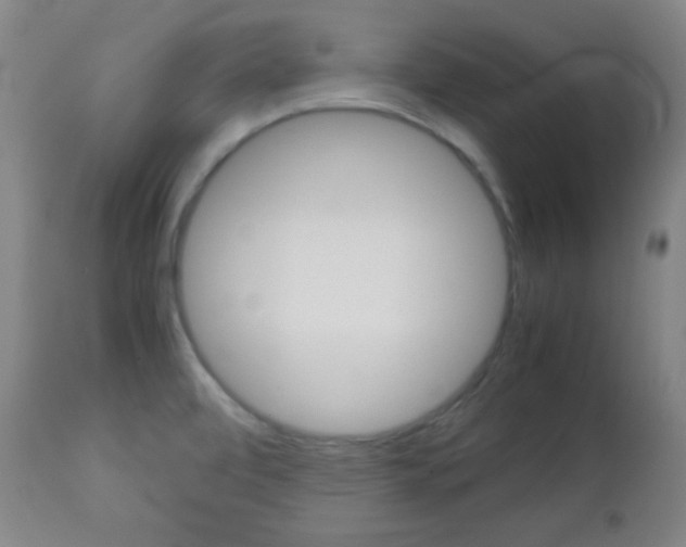 X0000112771472200908201339