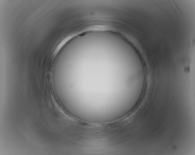 X0000112771473200908201339