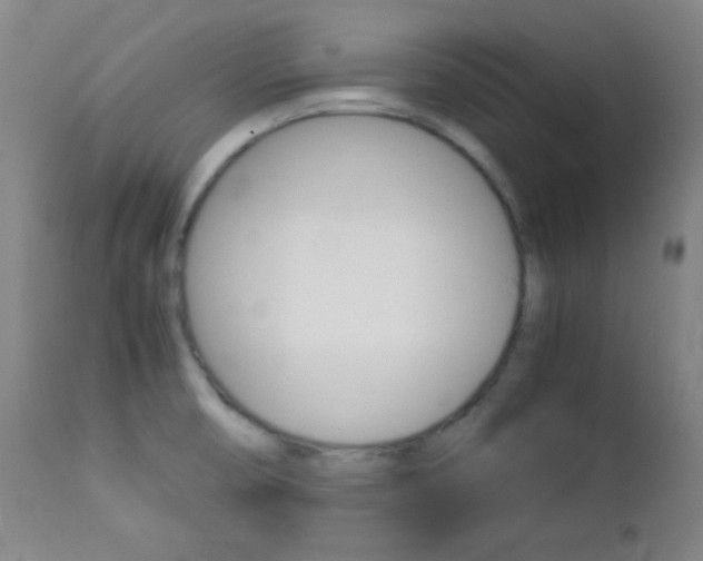 X0000112771474200908201339