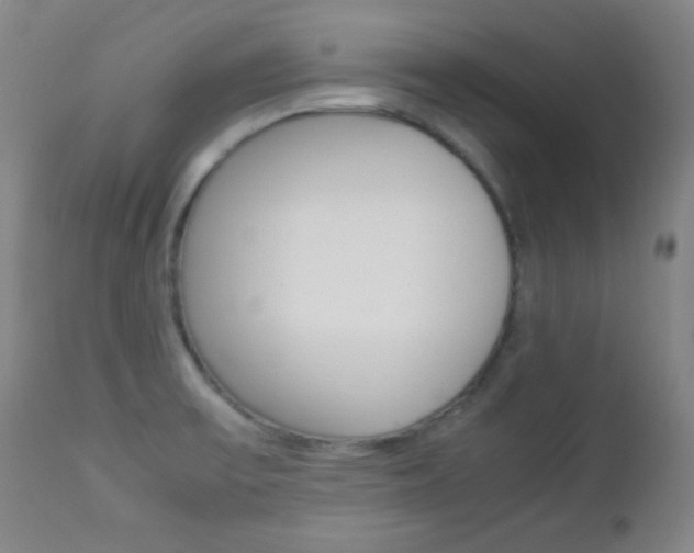 X0000112771475200908201339