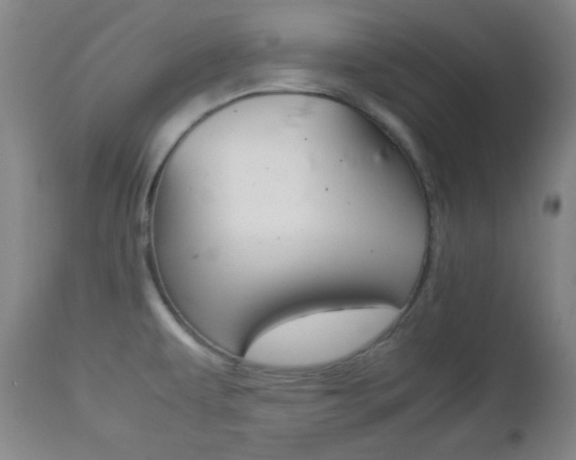 X0000112771479200908201339