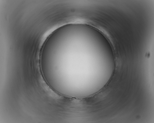 X0000112771480200908201339