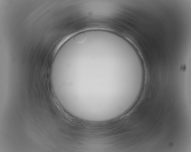 X0000112771481200908201338