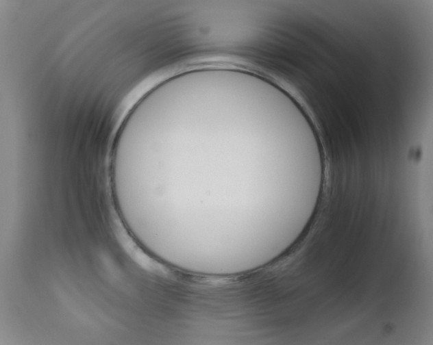 X0000112771482200908201338