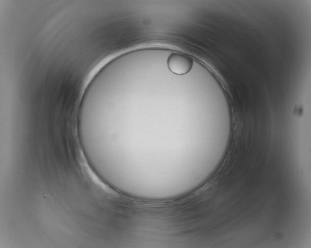 X0000112771484200908201338