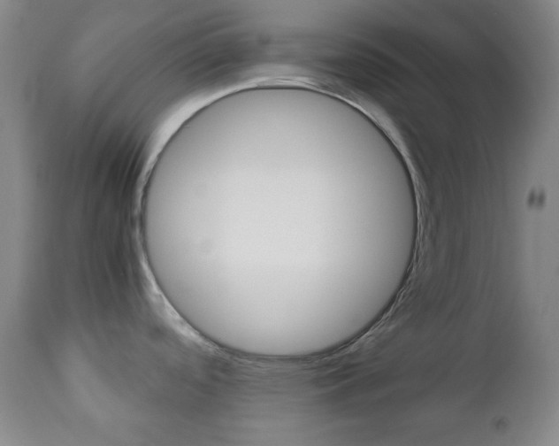 X0000112771488200908201338