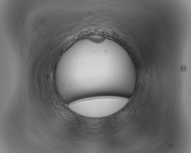 X0000112771489200908201338