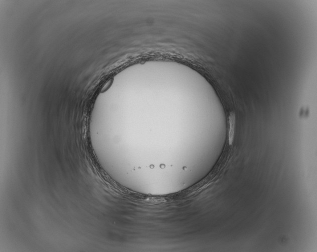 X0000112771491200908201338