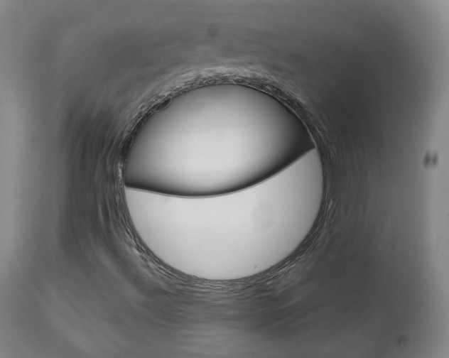 X0000112771492200908201338