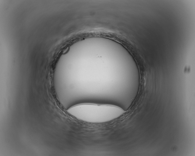 X0000112771493200908201338