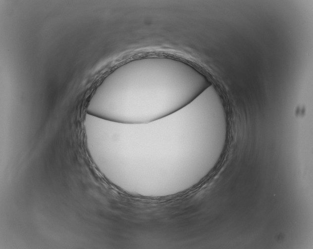 X0000112771494200908201338