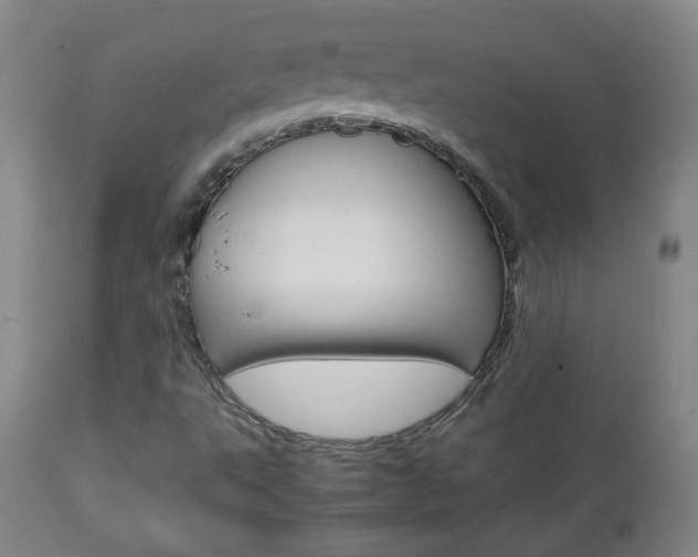 X0000112771495200908201338