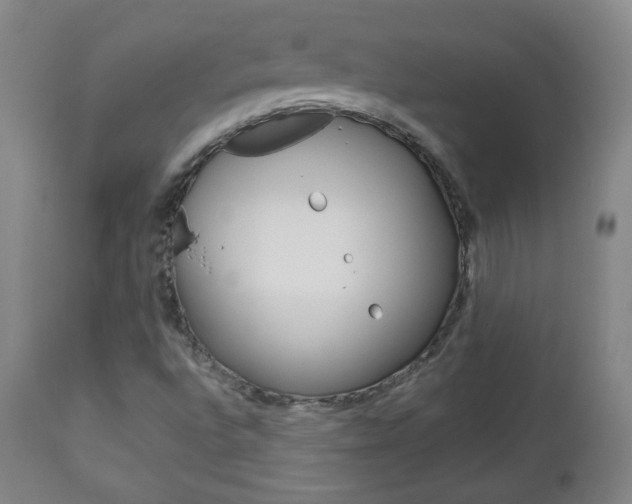X0000112771496200908201338