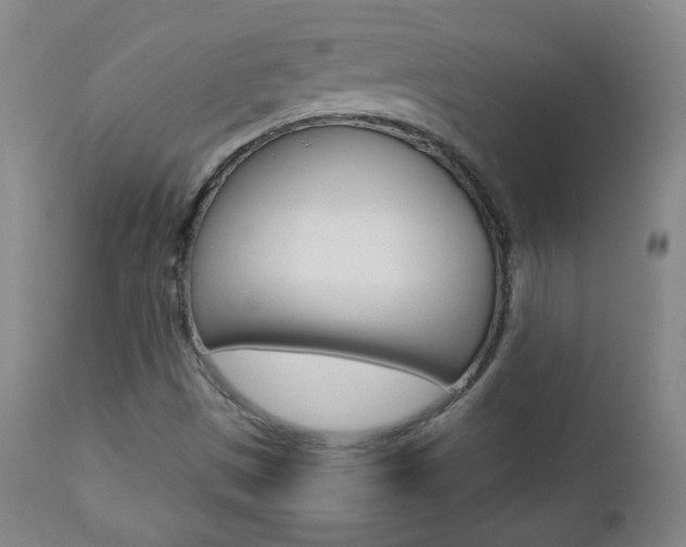 X0000112771497200908201338