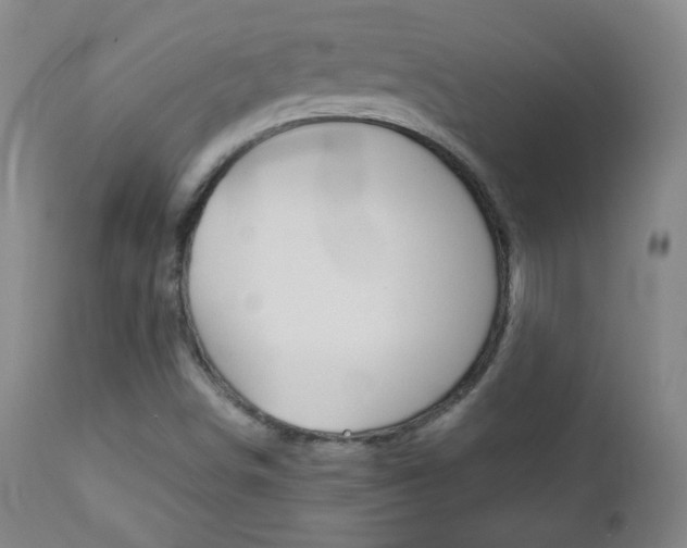 X0000112771498200908201338