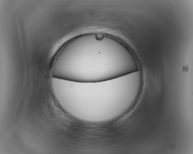 X0000112771501200908201338