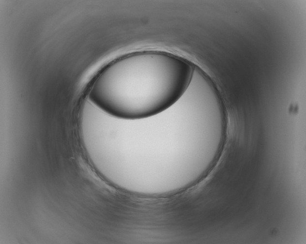 X0000112771502200908201338