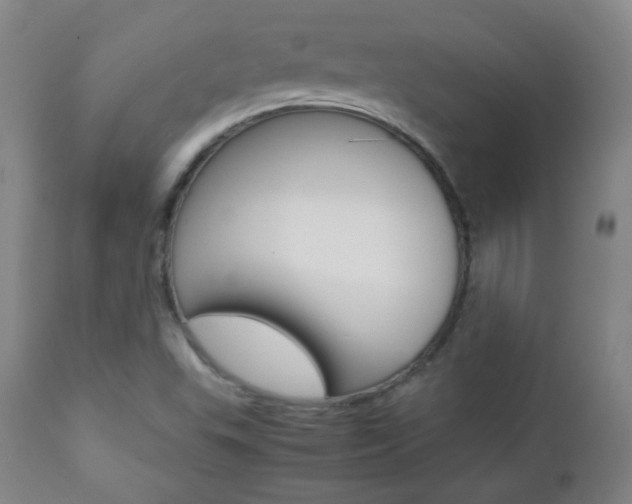 X0000112771503200908201338
