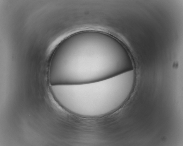 X0000112771504200908201338