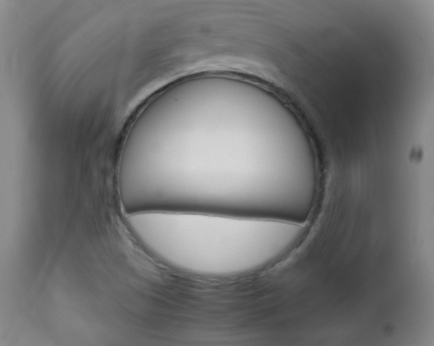 X0000112771505200908201338