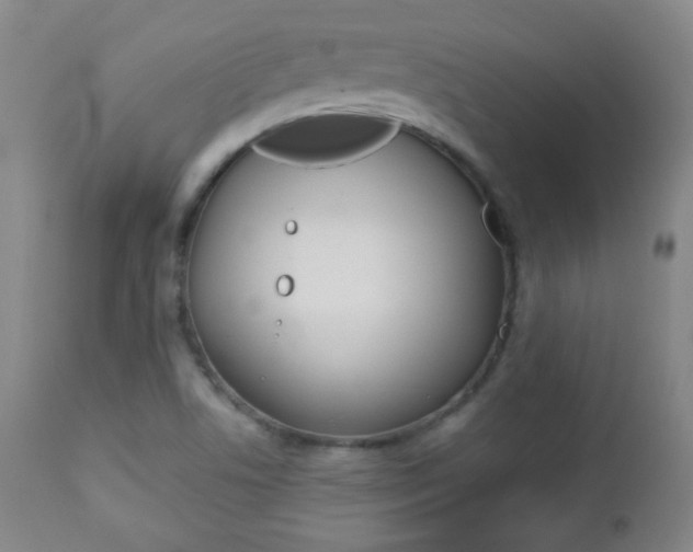 X0000112771506200908201338