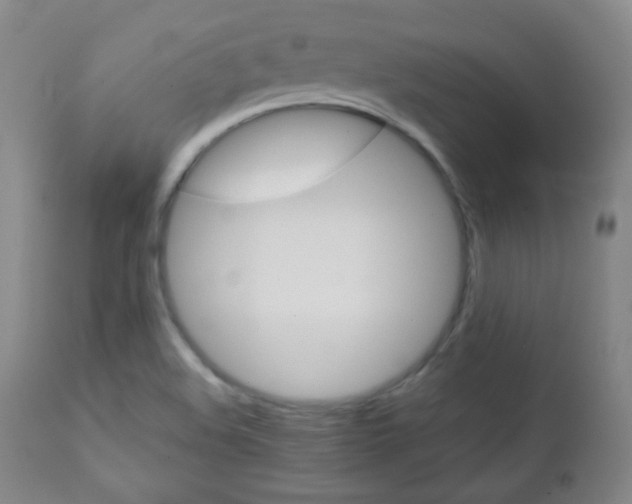 X0000112771508200908201338