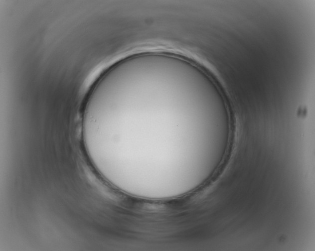 X0000112771509200908201338