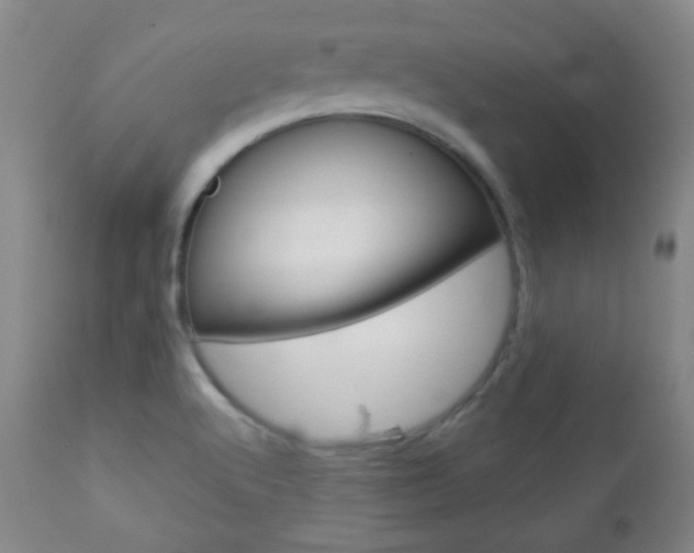 X0000112771512200908201338