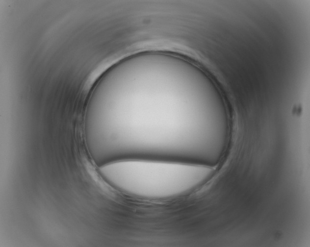 X0000112771513200908201338