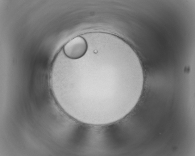 X0000112771514200908201338