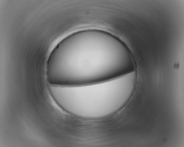 X0000112771516200908201338