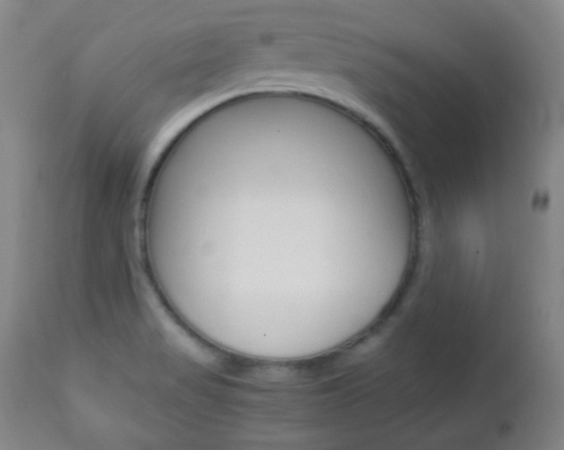 X0000112771517200908201338