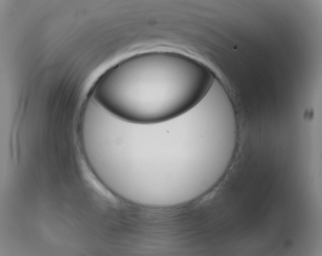 X0000112771518200908201338