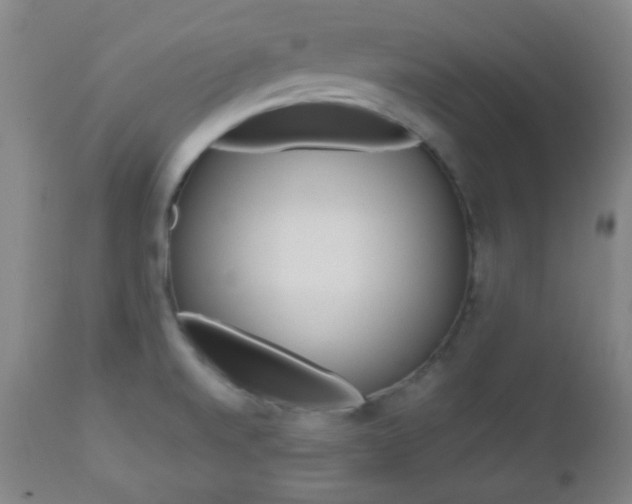 X0000112771520200908201338
